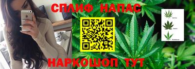 мдпв Ливны