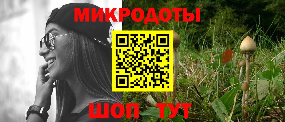 Галлюциногенные грибы Psilocybine cubensis Долгопрудный