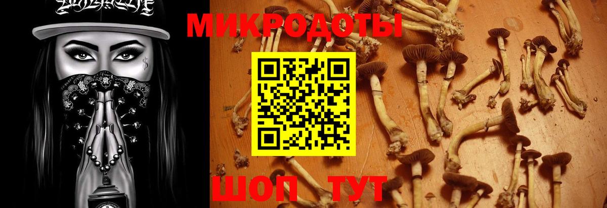 где купить наркотик  Псилоцибиновые грибы GOLDEN TEACHER  Псилоцибиновые грибы Cubensis  Вход с VPN  Долгопрудный 